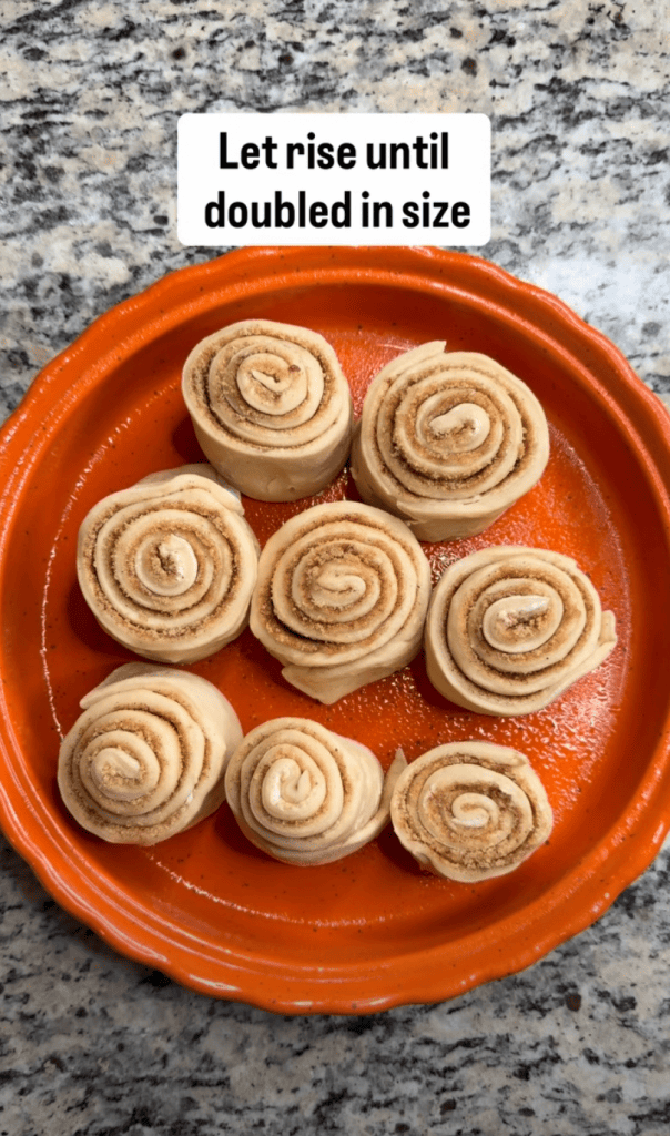 Cinnamon rolls arranged on an orange plate, waiting to rise until doubled in size.